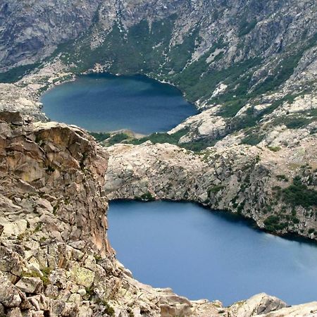 Les Bergeries "Le Figuier" Otel Omessa Dış mekan fotoğraf