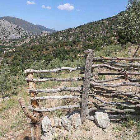 Les Bergeries "Le Figuier" Otel Omessa Dış mekan fotoğraf