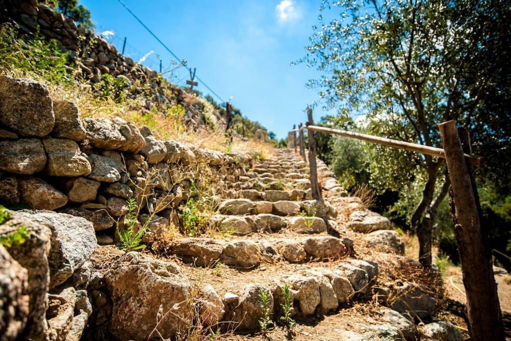 Les Bergeries "Le Figuier" Otel Omessa Dış mekan fotoğraf