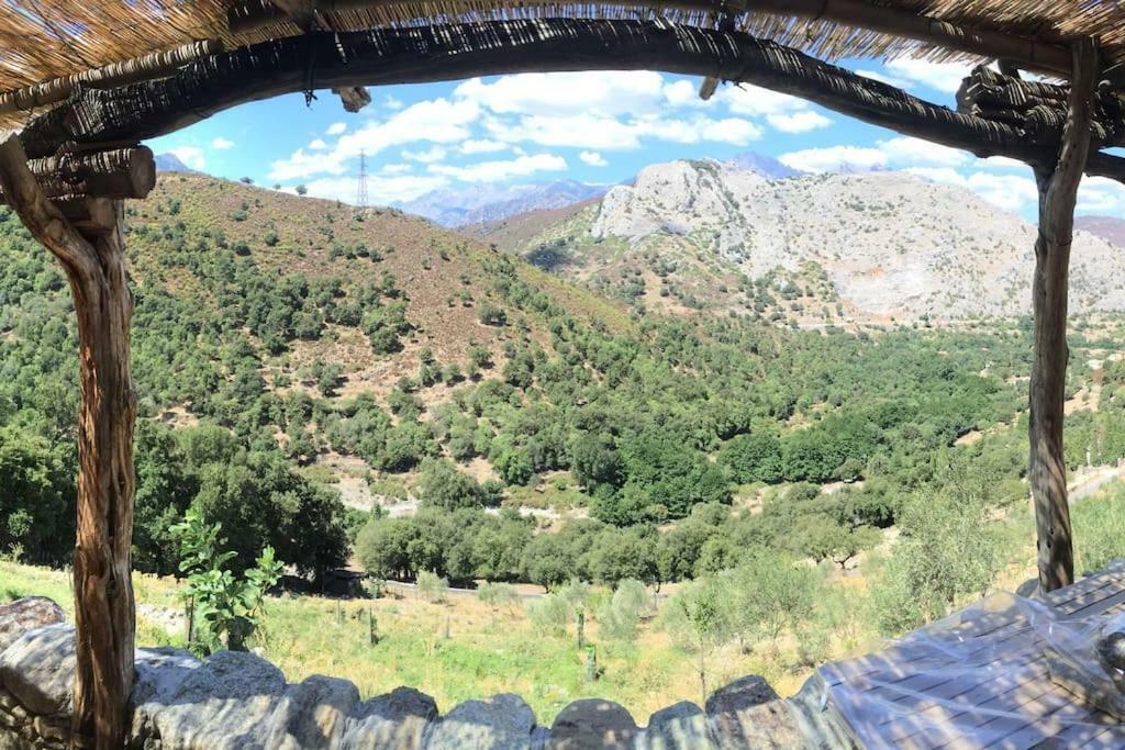 Les Bergeries "Le Figuier" Otel Omessa Dış mekan fotoğraf