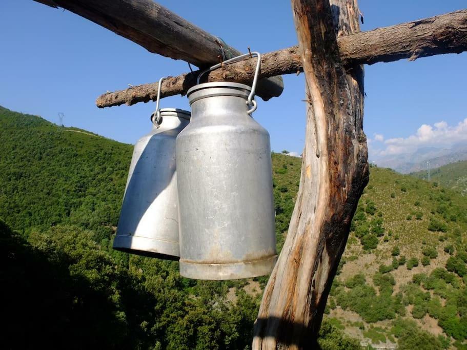 Les Bergeries "Le Figuier" Otel Omessa Dış mekan fotoğraf