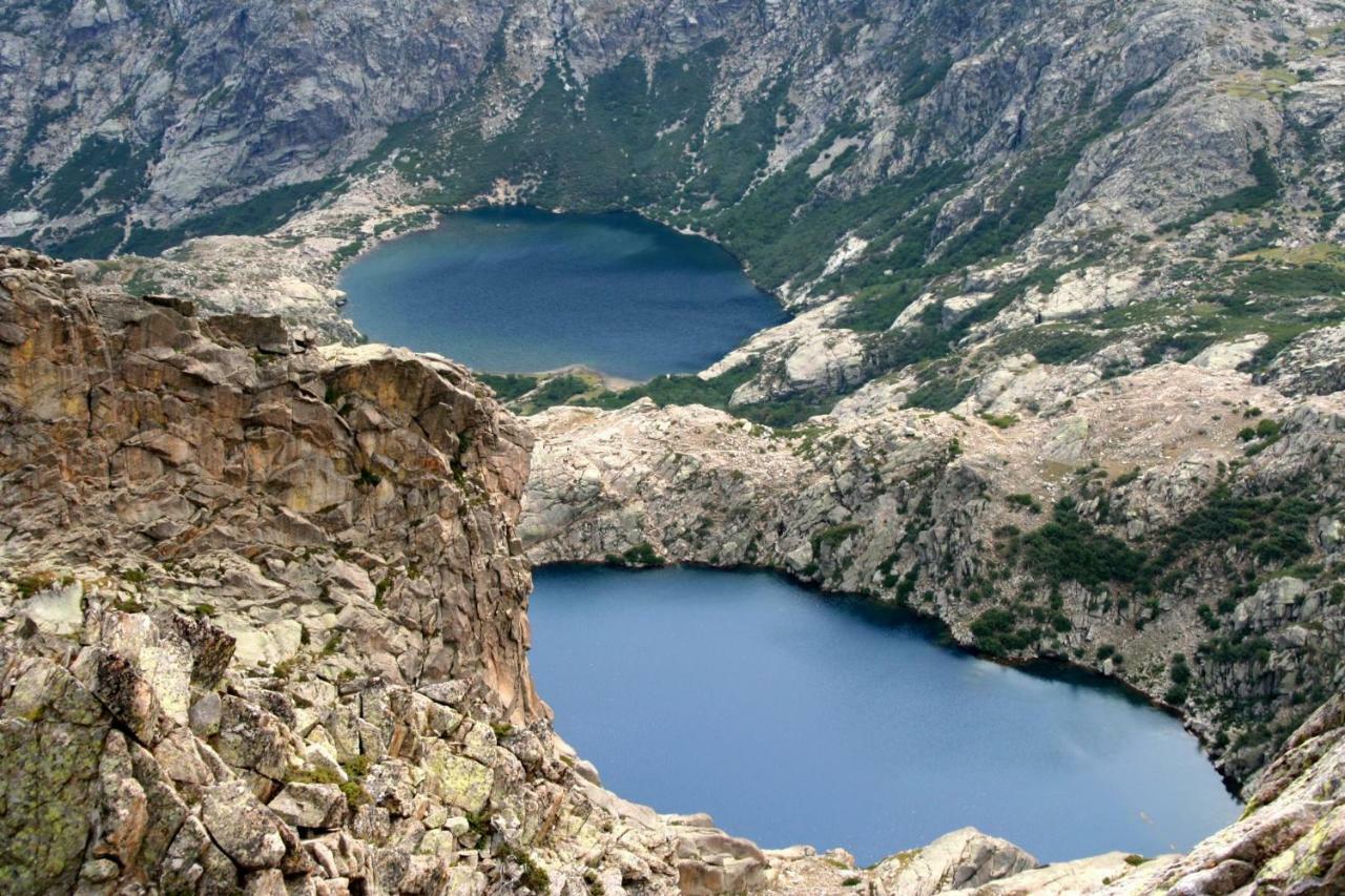 Les Bergeries "Le Figuier" Otel Omessa Dış mekan fotoğraf