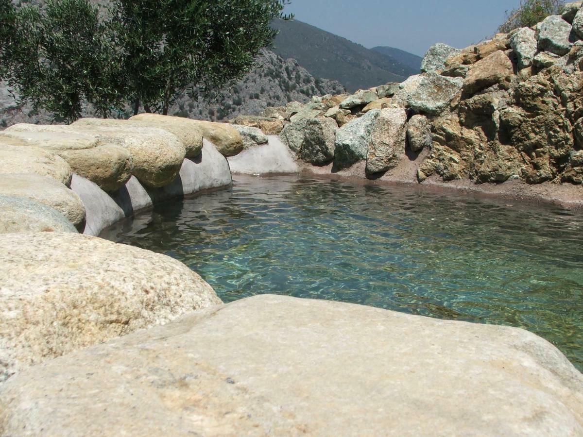 Les Bergeries "Le Figuier" Otel Omessa Dış mekan fotoğraf