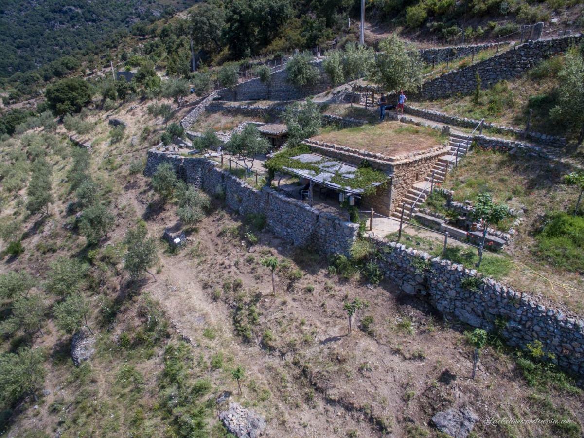 Les Bergeries "Le Figuier" Otel Omessa Dış mekan fotoğraf