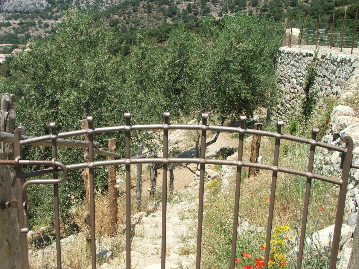 Les Bergeries "Le Figuier" Otel Omessa Dış mekan fotoğraf