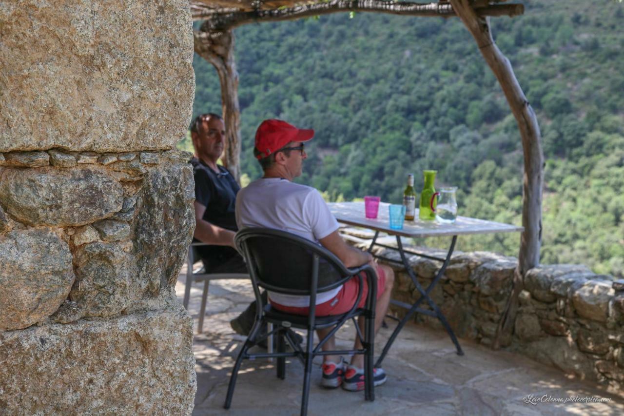Les Bergeries "Le Figuier" Otel Omessa Dış mekan fotoğraf