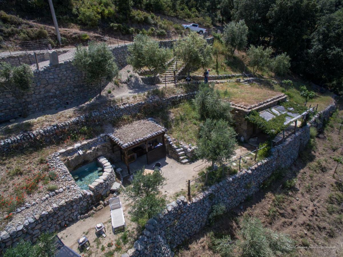 Les Bergeries "Le Figuier" Otel Omessa Dış mekan fotoğraf
